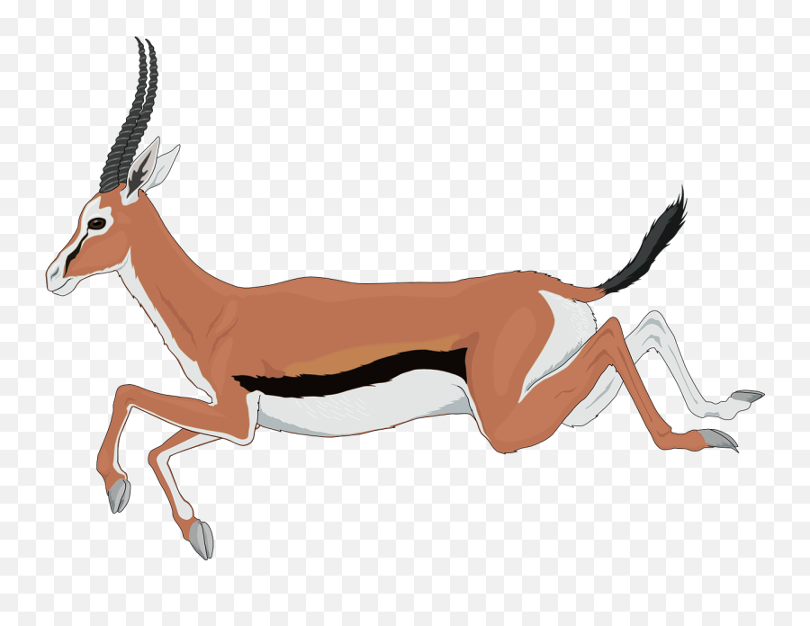 Antelope Running Leaping Animal Fast - Antelope Clipart Emoji,Airhorn Emoji