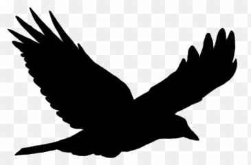 Bird Flight Common Raven - Transparent Silhouette Png Emoji