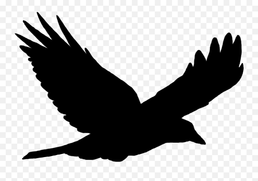 Bird Flight Bird Flight Common Raven - Transparent Silhouette Bird Png Emoji,Raven Bird Emoji