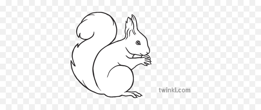 Red Squirrel Emoji Animal Twinkl Newsroom Ks2 Black And - Bee Bot Black And White,Squirrel Emoji