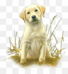 Igoshare - Dessin D Un Labrador Emoji,Mouthless Emoji