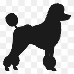 Poodle Svg Toy Transparent Png Clipart Free Download - Poodle Clipart Black And White Emoji,Poodle Emoji
