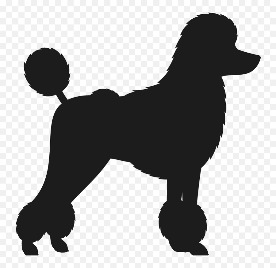 Poodle Svg Toy Transparent Png Clipart Free Download - Poodle Clipart Black And White Emoji,Poodle Emoji