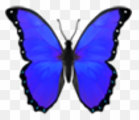 Butterfly Darkbluebutterfly Sticker By Zrychtecka - Purple Butterfly Aesthetic Png Emoji,Blue Butterfly Emoji