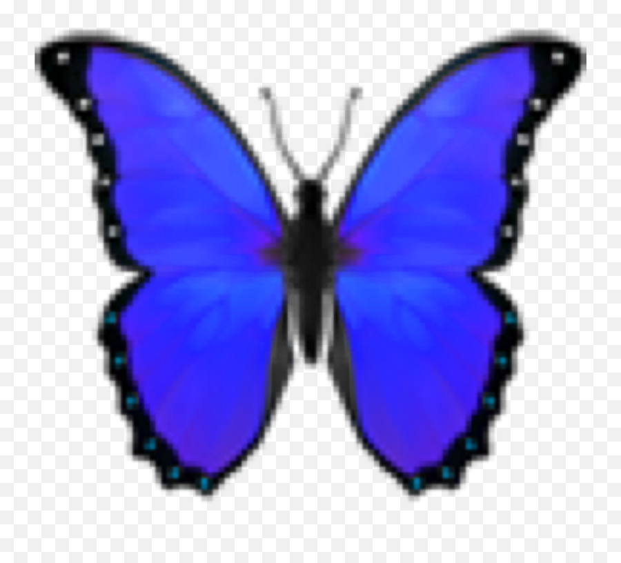 Butterfly Darkbluebutterfly Sticker By Zrychtecka - Purple Butterfly Aesthetic Png Emoji,Blue Butterfly Emoji