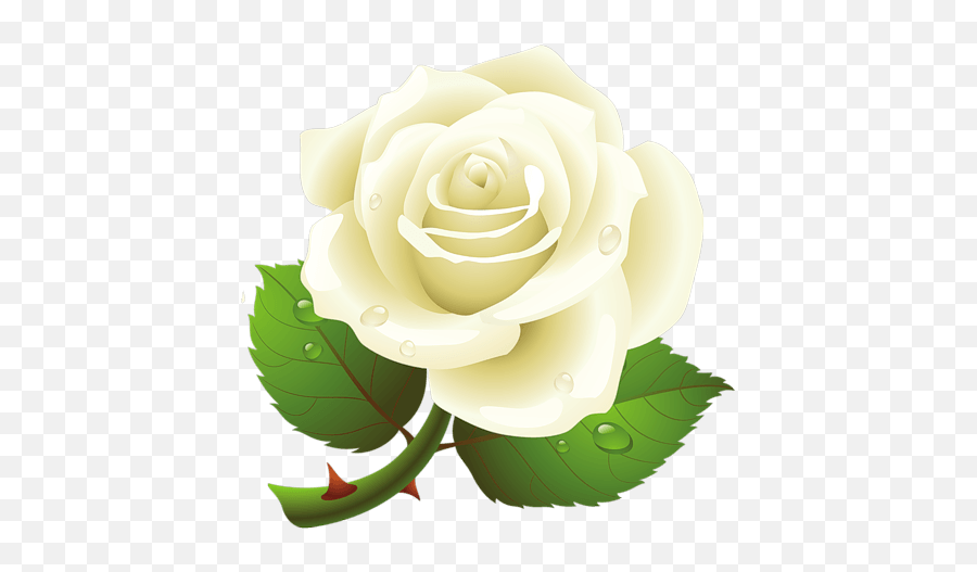 Png Image Flower White Rose Png Picture - White Rose Images Free Download Emoji,White Rose Emoji