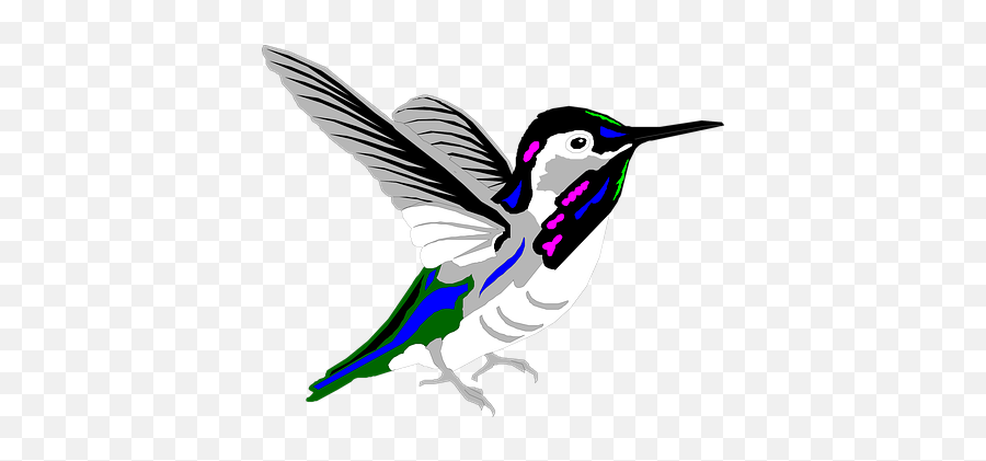 Free Bird Hummingbird Hummingbird - Hummingbird Emoji,Hummingbird Emoticon