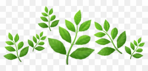 Emojiplantgreencrownleaves - Illustration Emoji,Plant Emoji