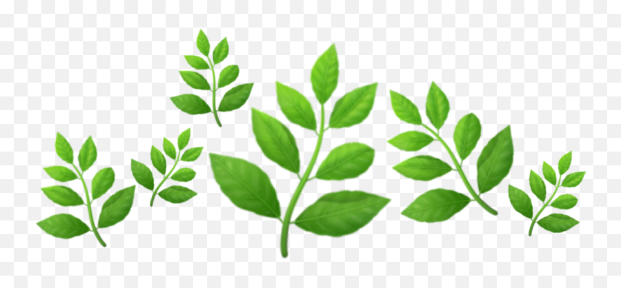 Emojiplantgreencrownleaves - Illustration Emoji,Plant Emoji