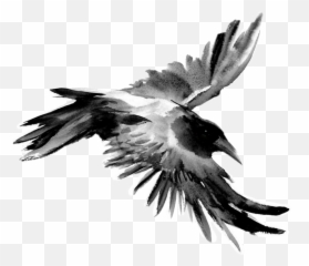 Blackbirds Freetoedit Bird Emoji