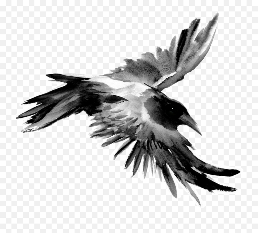 Blackbirds Blackbird Freetoedit Bird Emoji,Black Bird Emoji