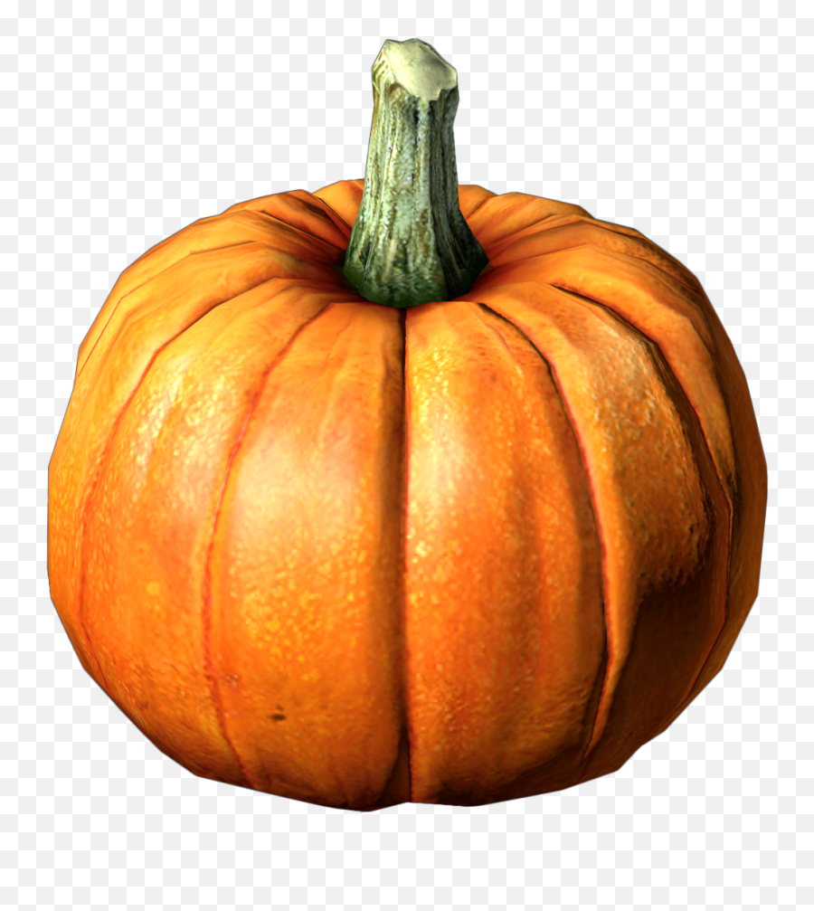 Pumpkins And Gourds Transparent U0026 Png Clipart Free Download - Pumpkin Images Hd Png Emoji,Where Is The Pumpkin Emoji On The Keyboard