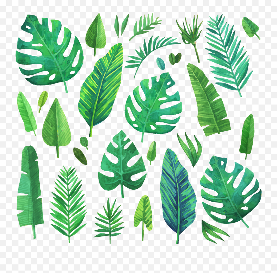 Jungle Jungleleaf Jungleleaves Leaf Leaves Green Tropic - Leaves Painting Emoji,Jungle Emoji