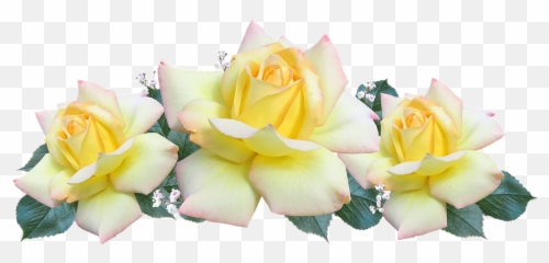 New Birthday Phrases To Deceased Loved Ones Birthday - Yellow Rose Wreath Png Emoji,Happy Birthday Emoji Texts
