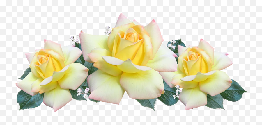 New Birthday Phrases To Deceased Loved Ones Birthday - Yellow Rose Wreath Png Emoji,Happy Birthday Emoji Texts
