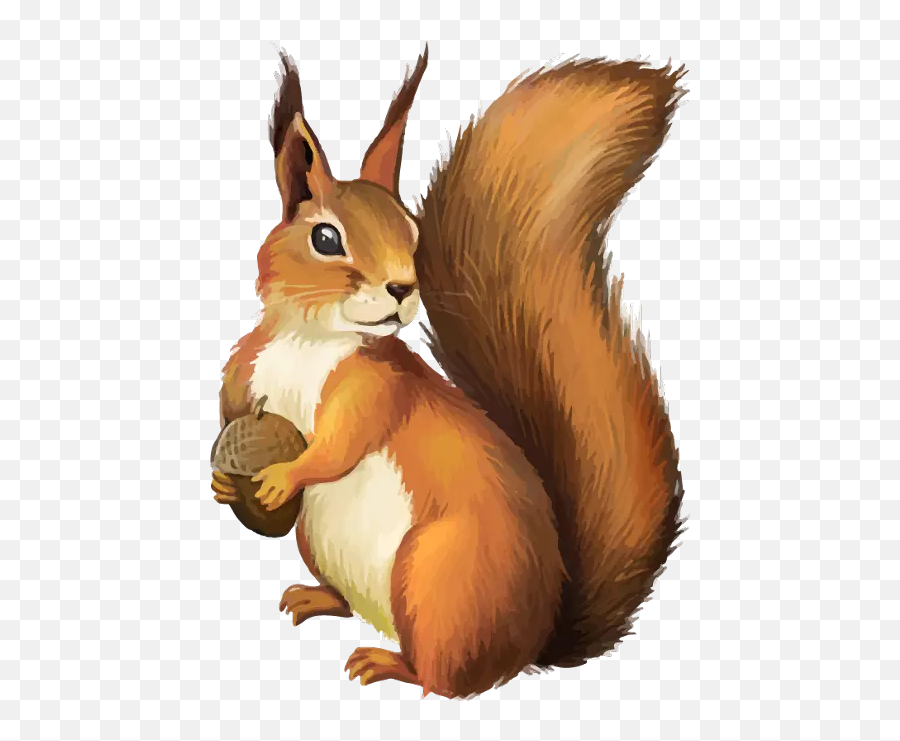 Largest Collection Of Free - Transparent Background Squirrel Clipart Emoji,Squirrel Emoji