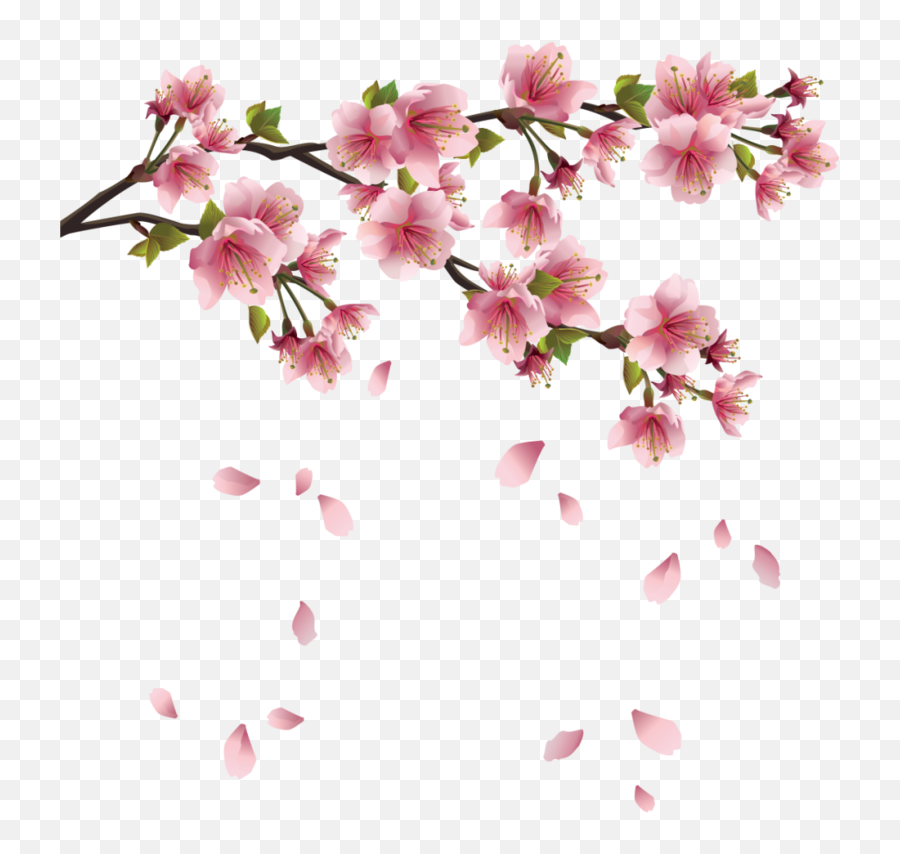 Download Free Png Sakura Blossom Pink - Transparent Background Cherry Blossom Png Emoji,Sakura Emoji