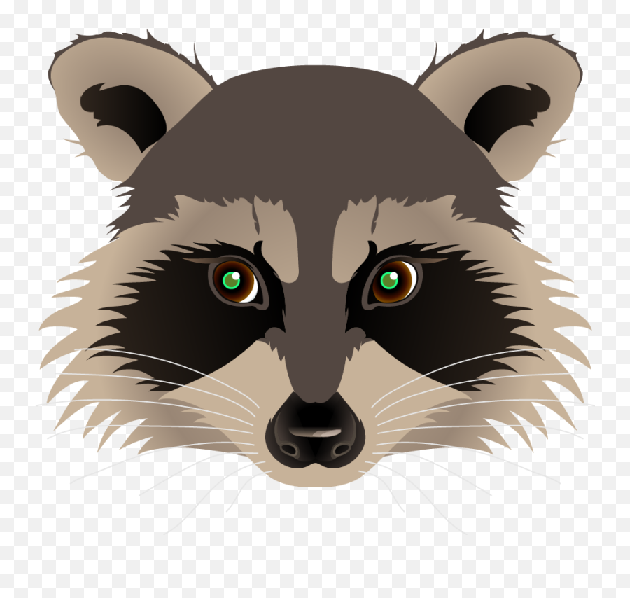 Raccoon Face Png Picture 1912655 Raccoon Face Png - Drawing Raccoon Face Emoji,Raccoon Emoji