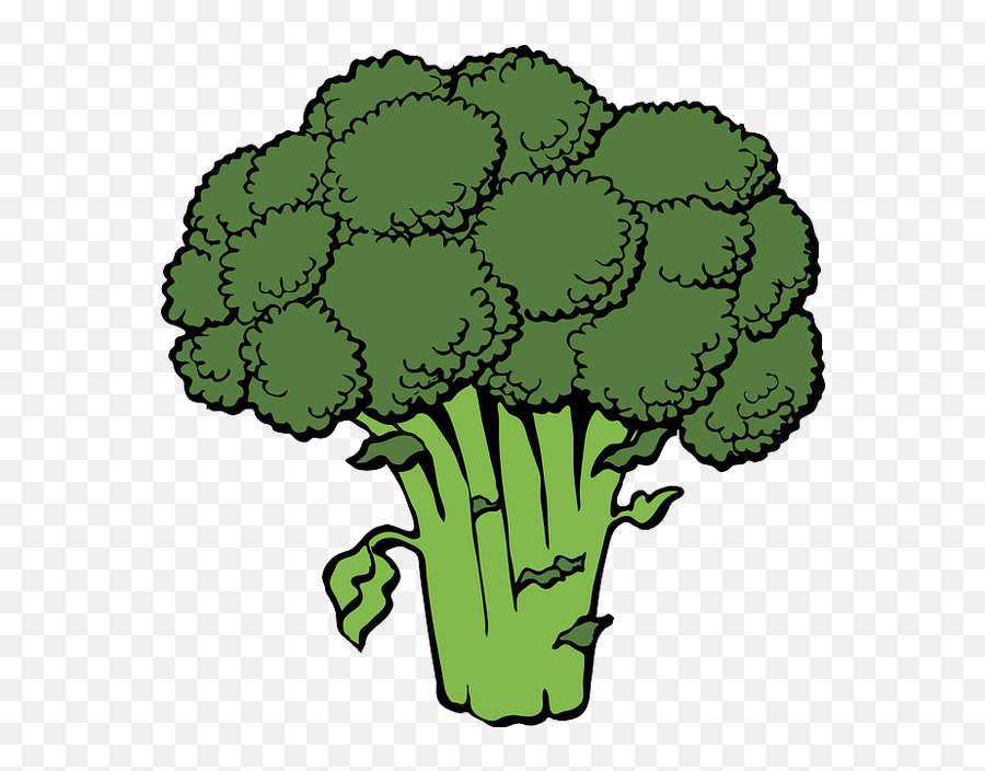 Picture - Broccoli Clipart Png Emoji,Broccoli Emoji
