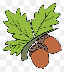 How To Draw Acorns - Really Easy Drawing Tutorial Acorns Drawing Emoji,Acorn Emoji