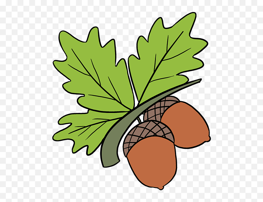 How To Draw Acorns - Really Easy Drawing Tutorial Acorns Drawing Emoji,Acorn Emoji