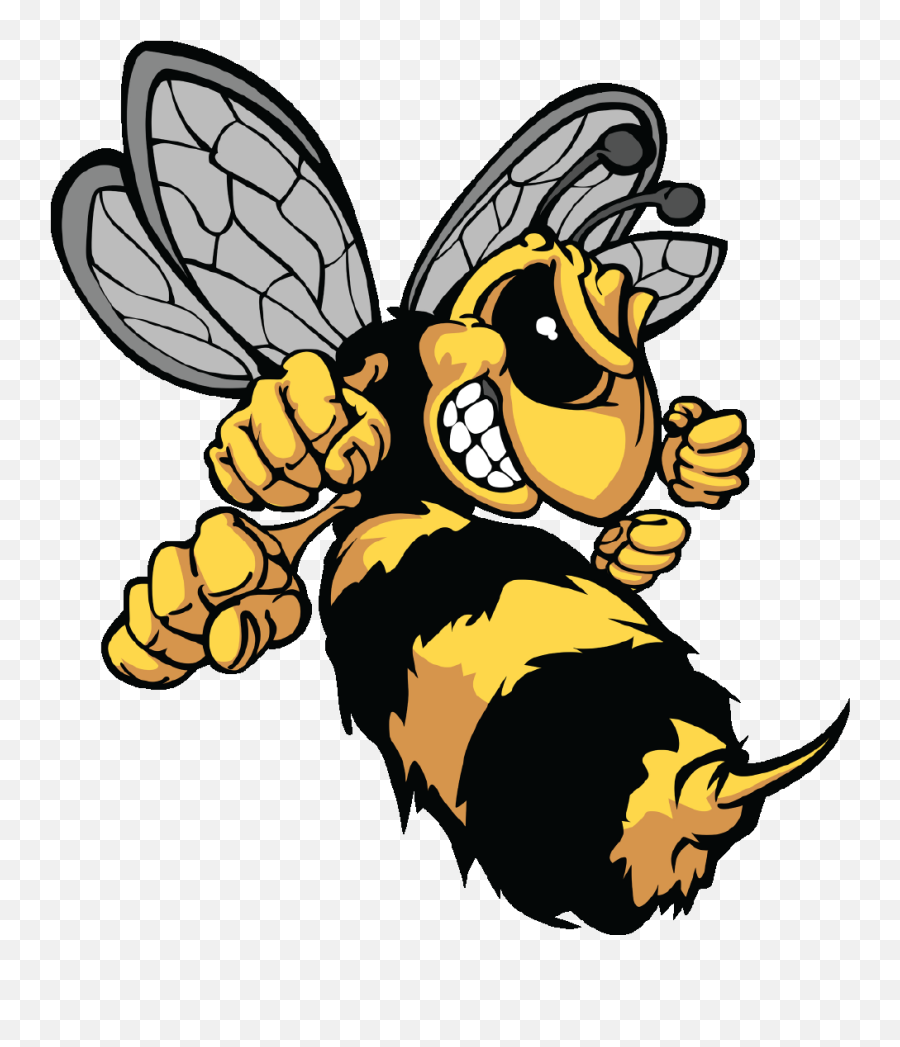 Hornet Cartoon Transparent Png Image - Hornet Cartoon Emoji,Hornet Emoji