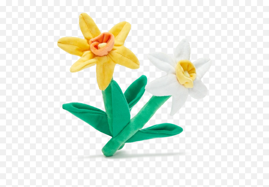 Plush Dog Toys - Narcissus Emoji,Daffodil Emoji