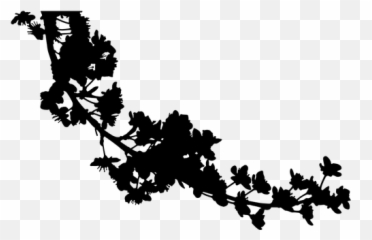 Blossoms Siluett - Realistic Cherry Blossom Drawings Emoji,Jeep Emoji