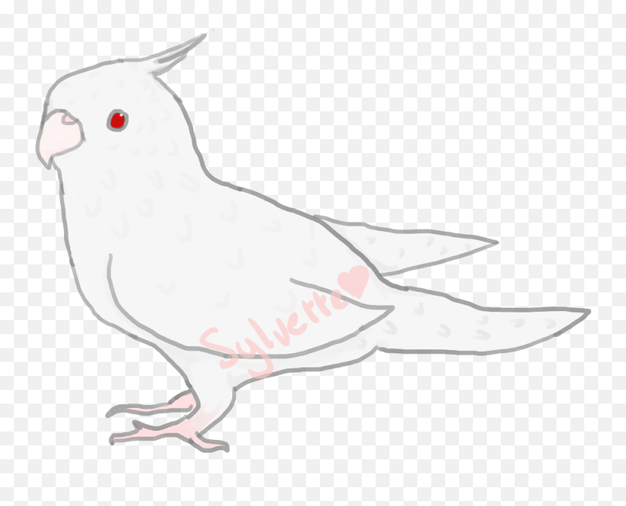 Sylvs Birb Closed - Cockatiel Emoji,Feather Emoticon