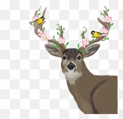 Deer Animals Antlers Floral Freetoedit - Deer Emoji,Whitetail Deer Emoji