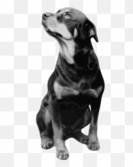 Dog Pet Rottweiler Breed Domestic - Quotes Emoji