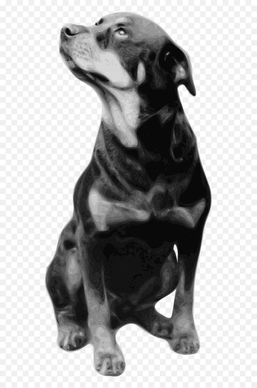 Dog Pet Rottweiler Breed Domestic - Rottweiler Dog Quotes Emoji,Dog Walking Emoji