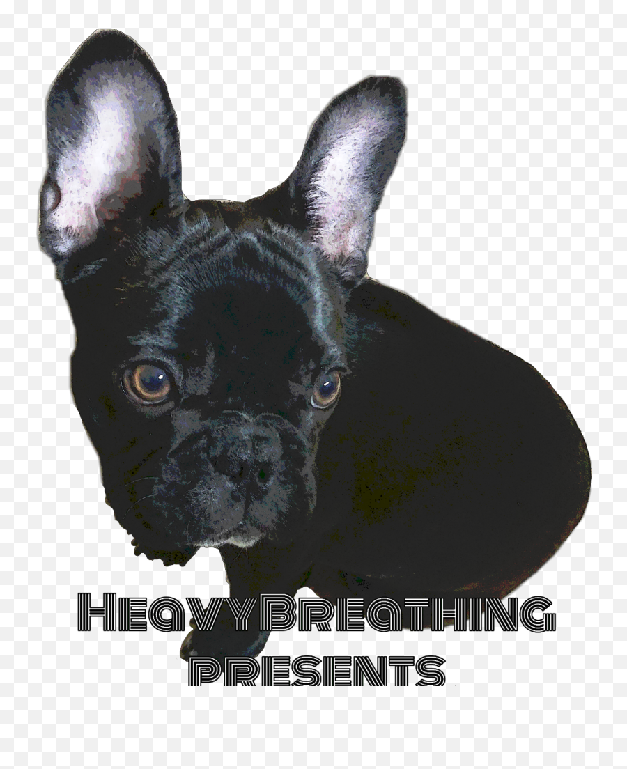Housemusic Deeptech Deephouse Freetoedit - French Bulldog Emoji,Heavy Breathing Emoji