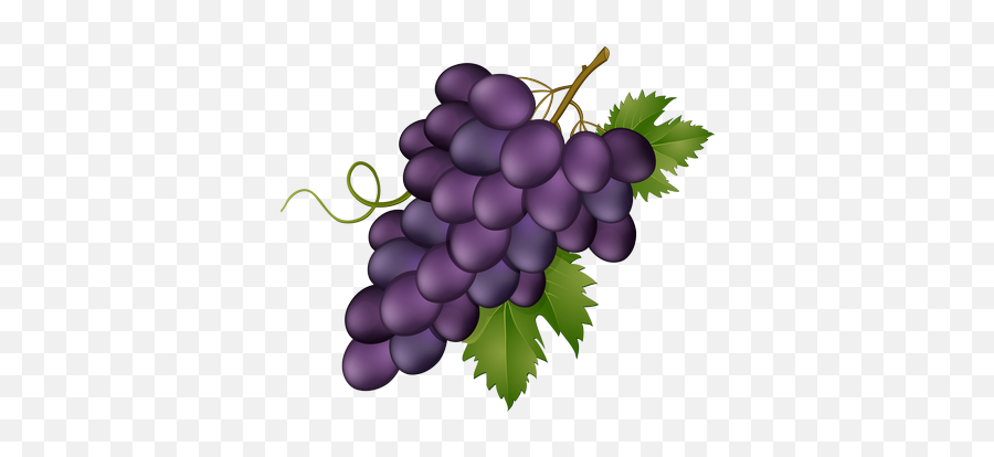 Fu0026f2 Words - Baamboozle Transparent Background Grapes Clip Art Emoji,Grape Emoji