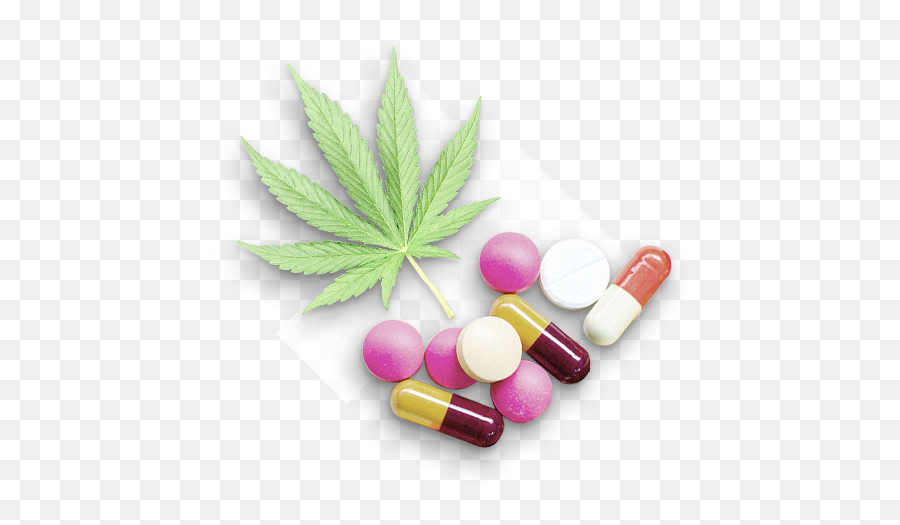 Illegal Drugs Png U0026 Free Illegal Drugspng Transparent - Illegal Drugs Drugs Png Emoji,Drug Emoji