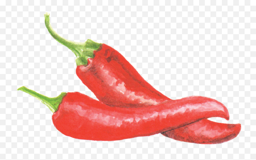 Cayenne Pepper Png U0026 Free Cayenne Pepperpng Transparent - Cayenne Pepper Png Emoji,Chilli Emoji