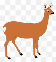 Free Clipart Of A Doe Deer - Doe Cliparts Emoji,Whitetail Deer Emoji