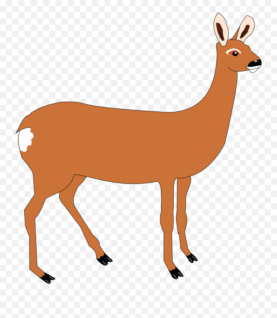 Free Clipart Of A Doe Deer - Doe Cliparts Emoji,Whitetail Deer Emoji