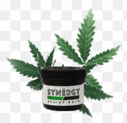 Products u2013 DaVine Oils - Fern Emoji