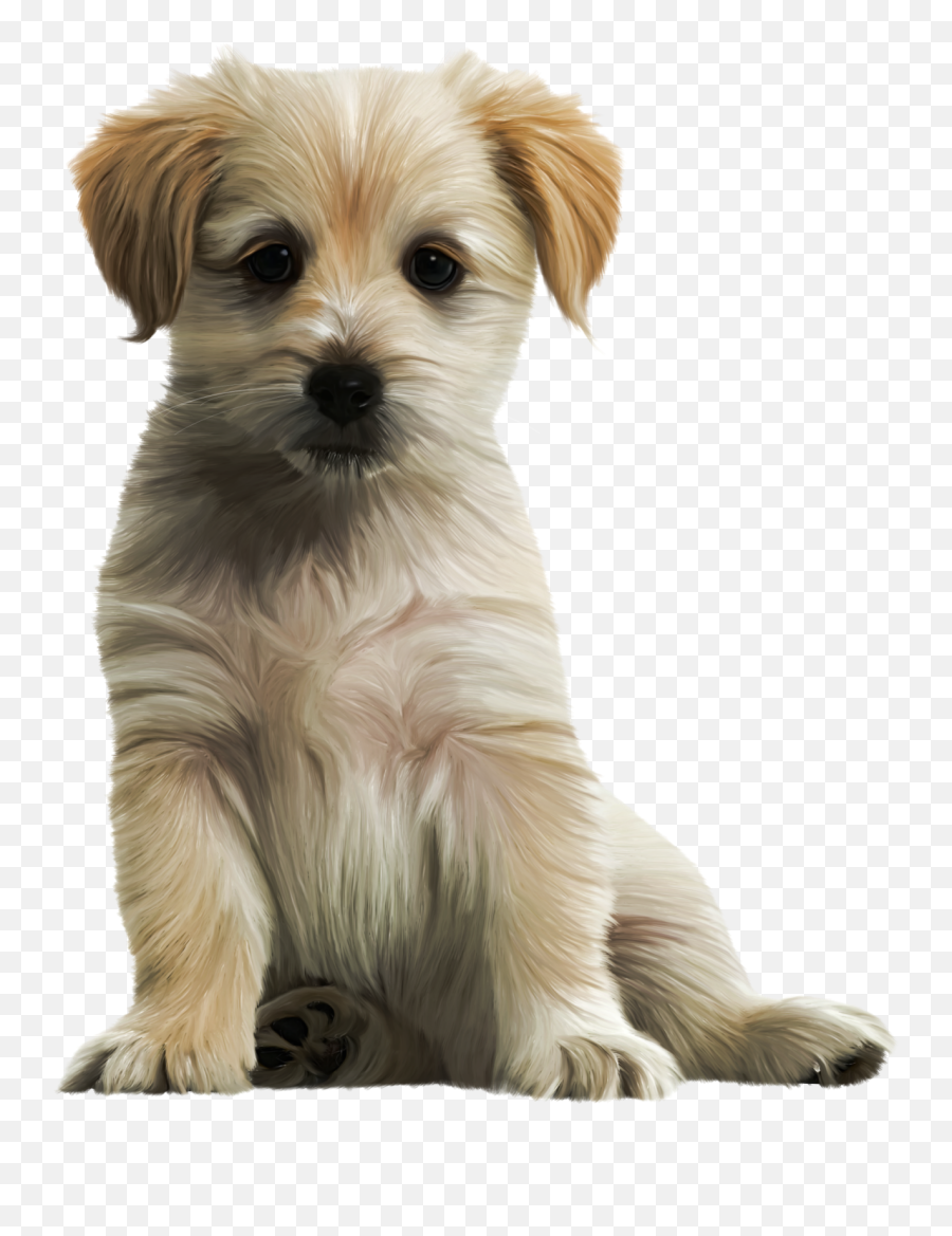 Ekg Svg Cute Transparent Png Clipart - Cute Puppy Png Emoji,Dog Lightning Emoji