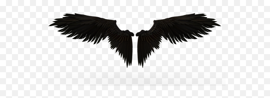 Sergeitokmakov Pixabay - Angel Wings Full Hd Emoji,Raven Bird Emoji