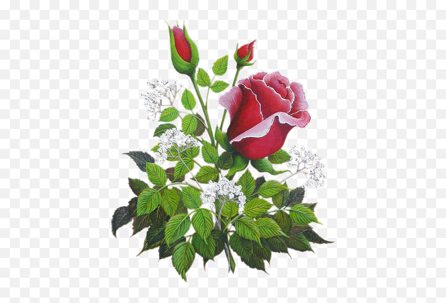 Rose Gifs Rose Animation Download Free For Whatsapp - Giftergo Emoji,Red Rose Emoji