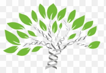 Free Compared To Images - Dna Family Tree Emoji