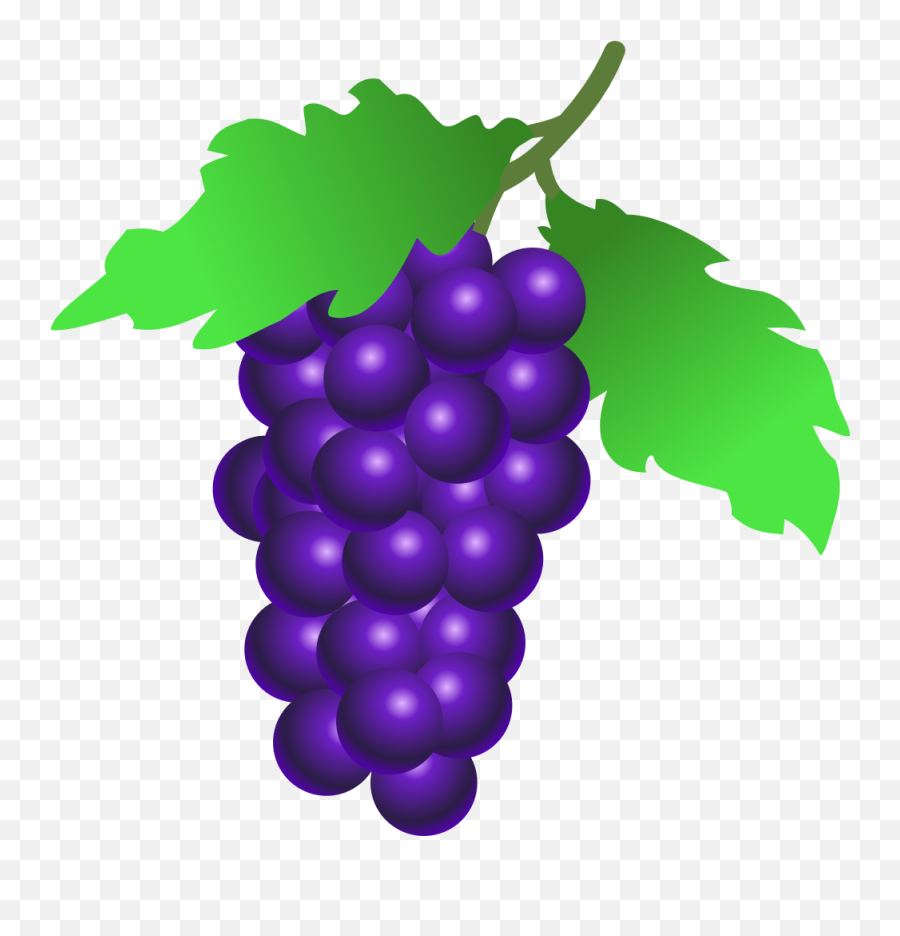 Free Purple Grapes Cliparts Download - Grapes Clipart Emoji,Grape Emoji