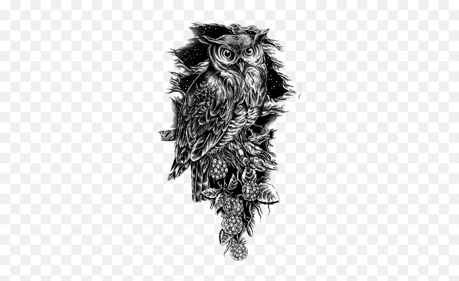 Owl Eule Bird Vogel Owltattoo Sticker By - Wlkanja Tattoo Sleeve Png Emoji,Emoji Owl