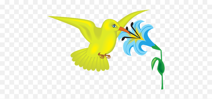 50 Free Hummingbirds U0026 Bird Vectors - Pixabay Flowers And Birds Cartoon Emoji,Flying Bird Emoji