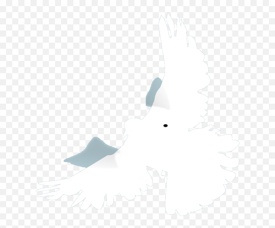 White Dove Png Svg Clip Art For Web - Download Clip Art Falconiformes Emoji,White Bird Emoji