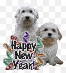That Cute Gilbert Puppy Dog Face - Happy New Year 2011 Emoji