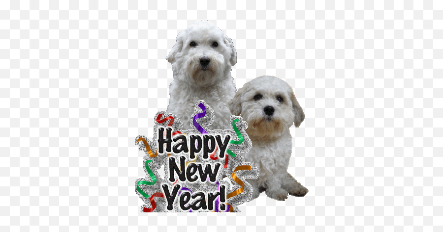 That Cute Gilbert Puppy Dog Face - Happy New Year 2011 Emoji,Puppy Dog Emojis