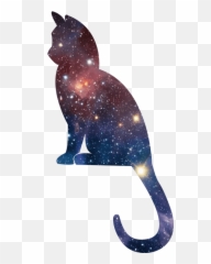Cool - Black Cat Emoji,Dancing Cat Emoji